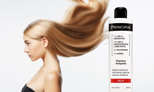 shampoo antiqueda, Principia AQ-01, shampoo para queda de cabelo, niacinamida no cabelo,